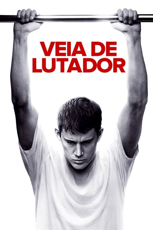 Lutador - A Lei das Ruas